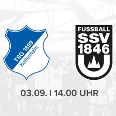 „Interessante Aufgabe“ in Hoffenheim