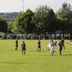 Spatzen testen gegen Olympia Laupheim