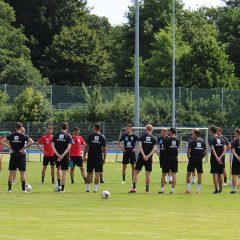 Der Spatzen-Sommerfahrplan