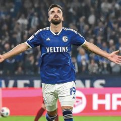 Daten und Fakten über den FC Schalke 04