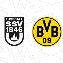 Heimspielcharakter spüren – der BVB II ist zu Gast