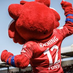 Daten & Fakten zur Spvgg. Unterhaching