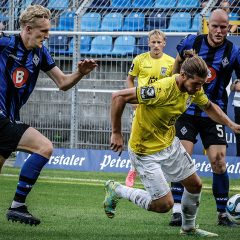 Daten und Fakten zum SV Waldhof Mannheim