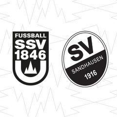 Rückkehr ins ausverkaufte Donaustadion