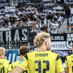 Faninfos | Paderborn – Ulm