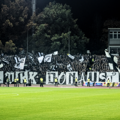 Die Faninfos vor Berlin