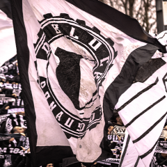 Faninfos für unser Heimspiel gegen den Hamburger SV