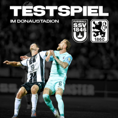 Die Spatzen testen gegen die Löwen