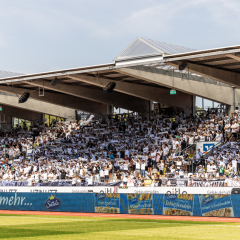 #ULMELV | Faninfos
