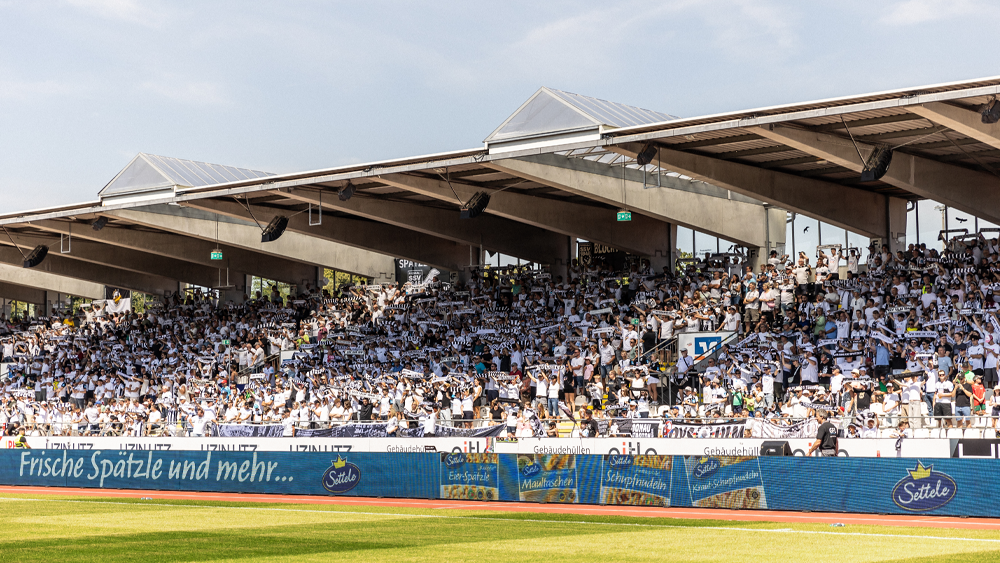 #ULMELV | Faninfos