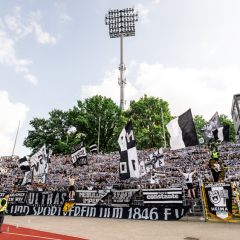 #MSVULM | Faninfos