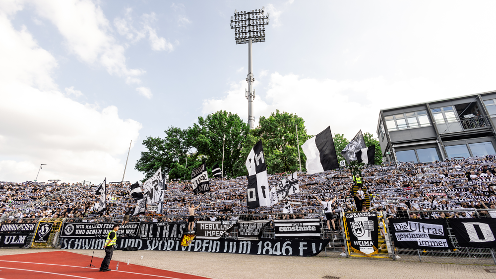 #MSVULM | Faninfos