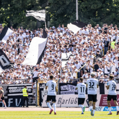 #ULMSVW | Faninfos