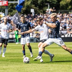 #ULMSVW | 1:2 Heimniederlage gegen Mannheim