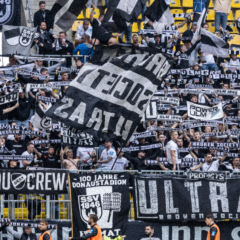 #FCSULM | Faninfos