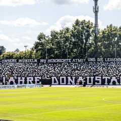 #ULMSSV | Faninfos
