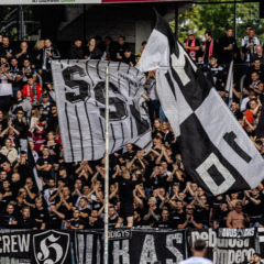 #TSGULM | Faninfos