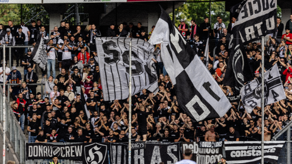 #TSGULM | Faninfos