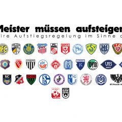 SSV Ulm 1846 Fussball schließt sich Aufstiegsreform 2025 an