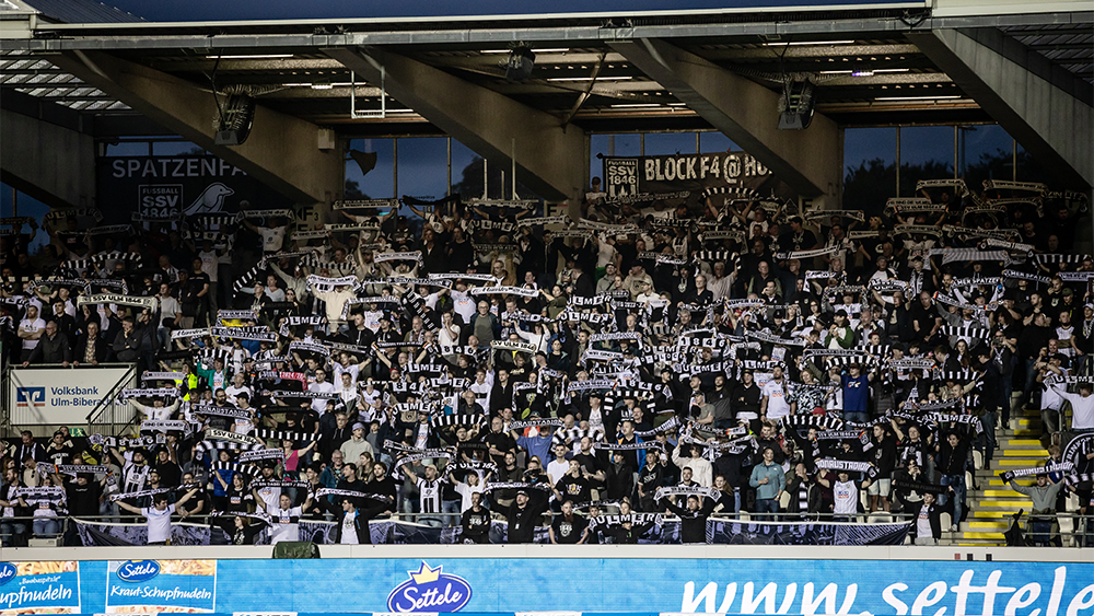 #FCIULM | Faninfos