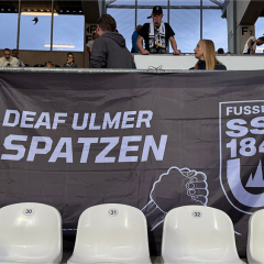 Dolmetscherin im Donaustadion