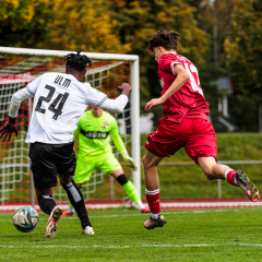 NLZ-Ergebnisse | U19, U17 und U16 gewinnen ihre Spiele