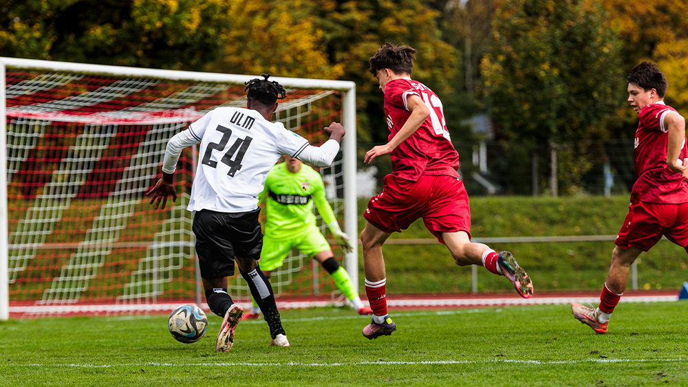 NLZ-Ergebnisse | U19, U17 und U16 gewinnen ihre Spiele