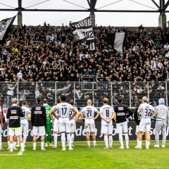 #ULMFCE | Faninfos
