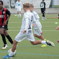 NLZ-Spiele – U17 empfängt den VFB Stuttgart