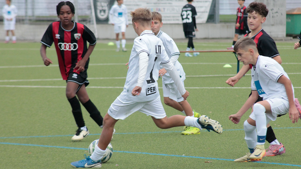 NLZ-Spiele – U17 empfängt den VFB Stuttgart