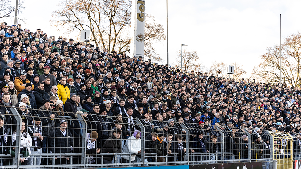 Die Ulmer gegen die Lila-Weißen – alles, was du wissen musst