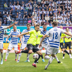Alles rund um die Zebras aus Duisburg