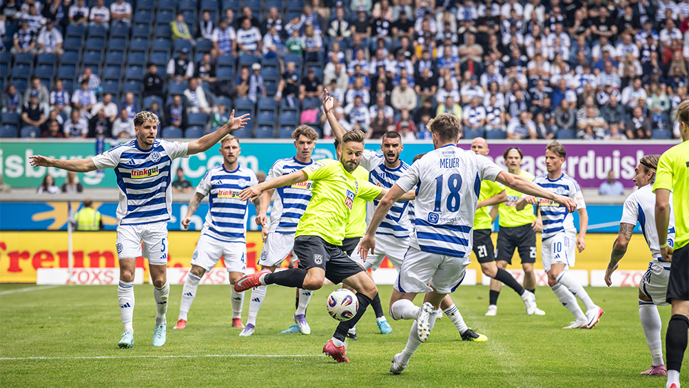 Alles rund um die Zebras aus Duisburg