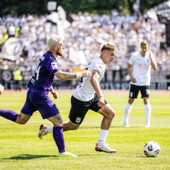 Alles was du über die Veilchen wissen musst