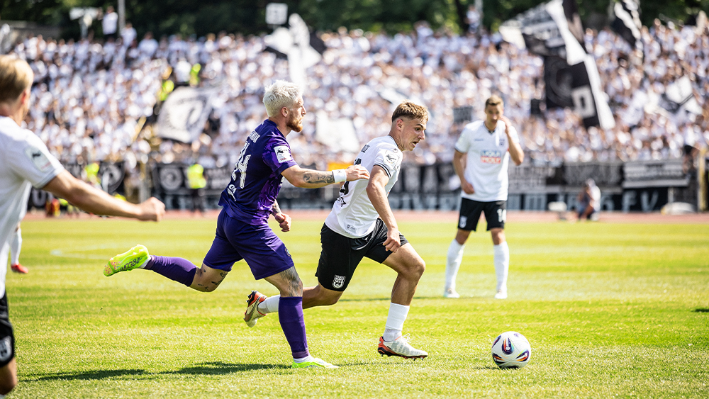 Alles was du über die Veilchen wissen musst