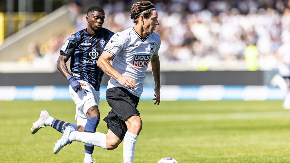 Alles was du über die Buwe wissen musst