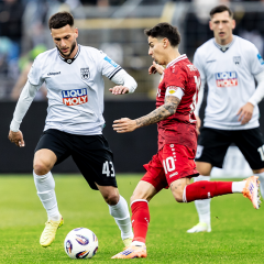 Alles rund um den VfB Stuttgart II