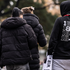 #ULMVIK | Faninfos