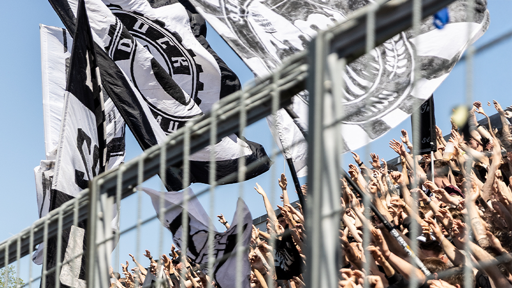 #OSNULM | Faninfos