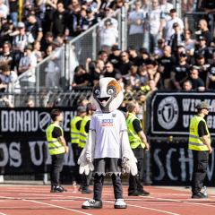 #ULMRWE | Faninfos