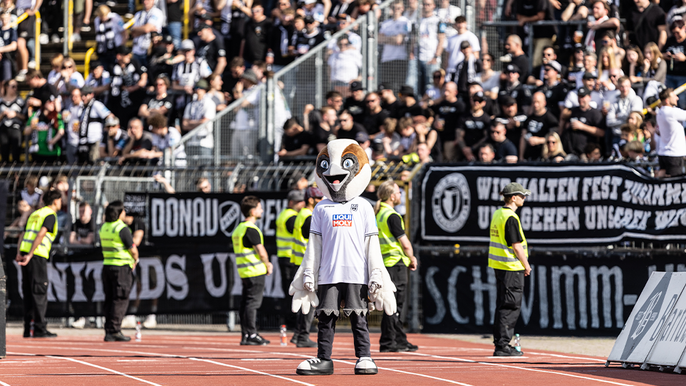 #ULMRWE | Faninfos