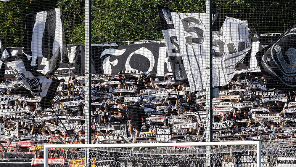 #ULMSGB | Faninfos