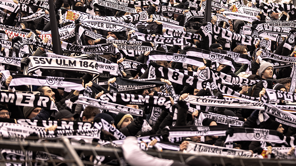 #SVKULM | Faninfos