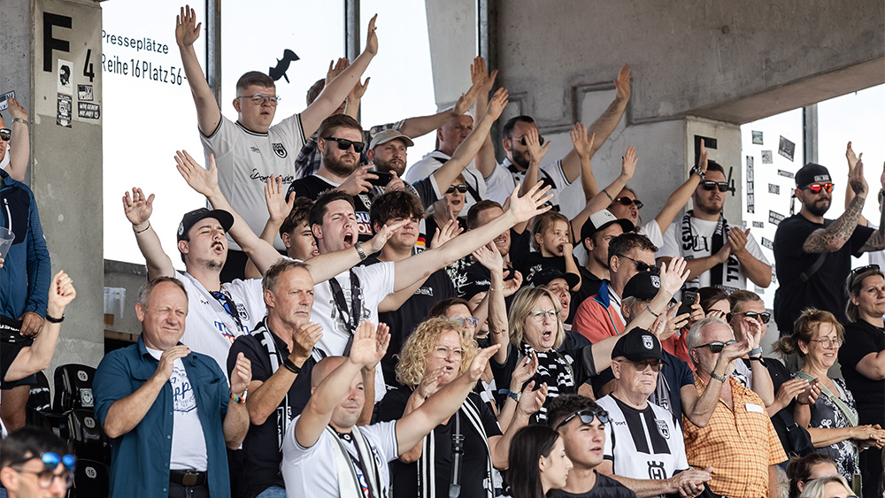 #ULMOFC | Faninfos