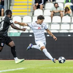 Der FC-Astoria Walldorf im Faktencheck