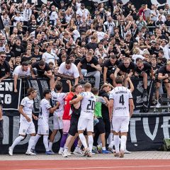#ULMSVE I Faninfos