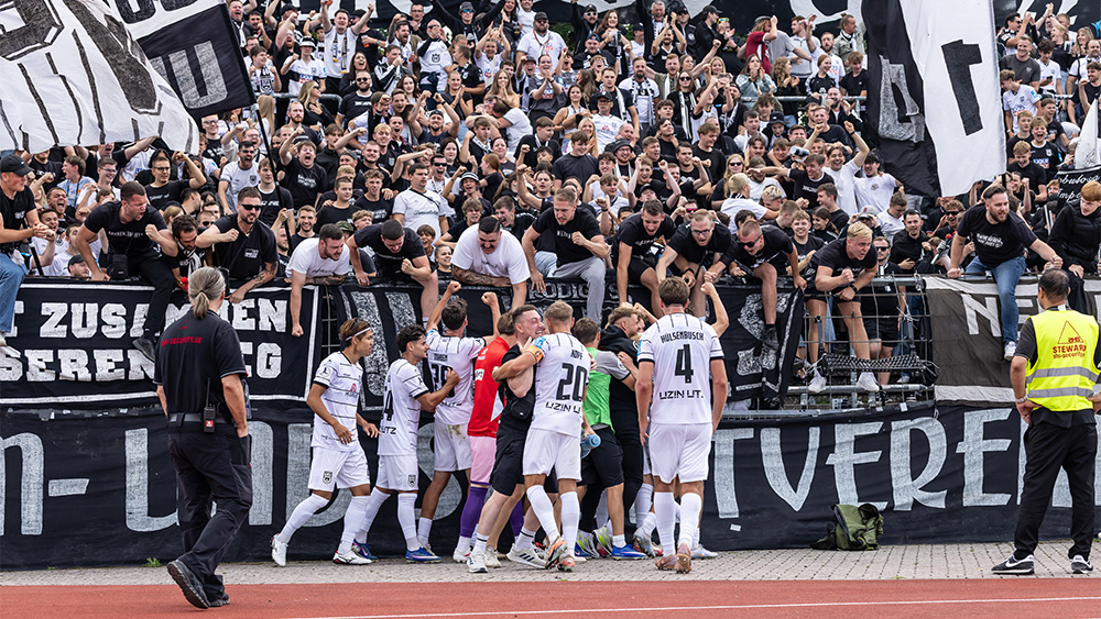#ULMSVE I Faninfos