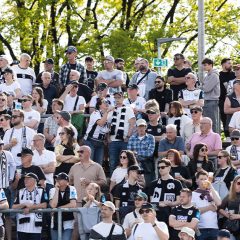 #TSGULM I Faninfos