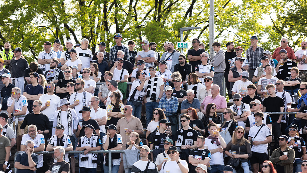 #TSGULM I Faninfos