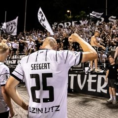 #AALULM I FANINFOS